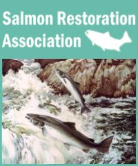 Salmon Restoration Association -  Website design by Mosaik Web