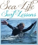 Sea Life Surf Lessons
